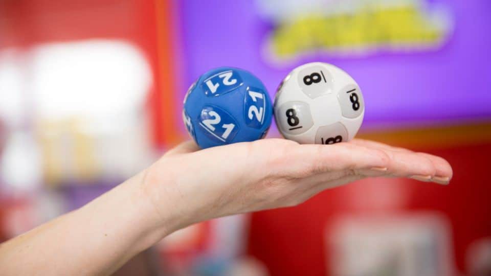 Strategi Jitu Bermain Togel Shio Macan